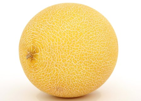 Meloen Galia