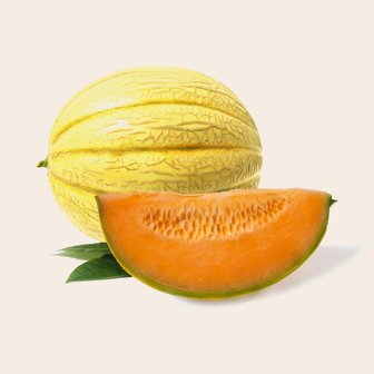 Meloen Cantaloupe
