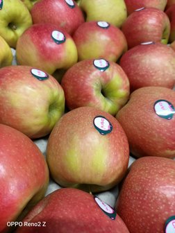 Appels Cripps Pink