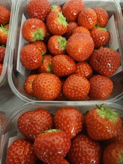Aardbeien Aanbieding 2 bakjes 