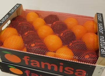 Sinaasappels Pers 15 kg kist